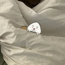 팜미데이 | 🇰🇷 출국준비기 🇯🇵