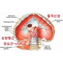 피트니스 오름 이미지