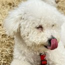 이강산농장 이미지