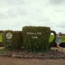 옛촌식당 이미지