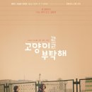 고양이를부탁해 티스토리