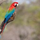 사당동물병원 이미지