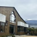 남원읍 하례리 286-14 | 제주 서귀포 빈티지 애견동반 대형 신상 카페 추천 &#39;친봉산장&#39; 내돈내산