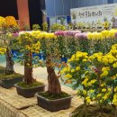 청양군문화체육센터 이미지