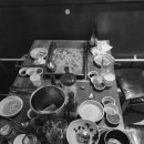 싱싱해물특공대 이미지