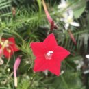 일신행정사 이미지