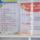 나비피부체형관리실
