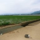 우진부동산중개사무소 이미지