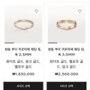 위러브피플 | 웨딩밴드 투어 - 웨딩밴드 5종 시착 후기 (까르띠에 러브링,마이용팬더 웨딩링 ,방돔루이 웨딩링...