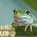 금순이농장 이미지