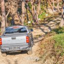 지엠모터스 이미지