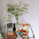 하피케이커리 네이버블로그