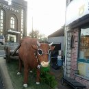 GS25 새말IC점 이미지