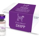 강아지유치원왕왕 이미지