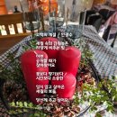 오늘의커피 이미지