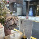 [스드메] 아비가일, 이브스더데이 (구 컬렉트비) 드레스 투어 후기 - 아비가일 선택 이유