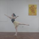 한양 발레 아카데미 | [공지] 건강한 아름다움의 시작, 일산 고선숙 발레 아카데미에서 성인발레 배우기