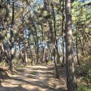 간대산 등산로 이미지