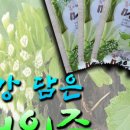 백세건강원 이미지