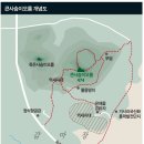 사슴은 꽃이었다 이미지