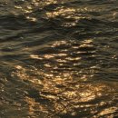 월포해수욕장야영장 이미지