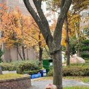 신가음정횟집 이미지