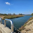 상기마을회관 | 여주 강천섬 은행나무숲길｜가을빛이 머무는 길을 걷다