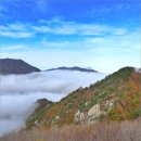 백대명산 제65차(정기299차)도락산(964 M)정기산행안내 이미지