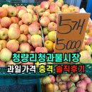 청과물시장 | ✅청량리청과물과일시장 만원으로 장보기 충격후기‼️