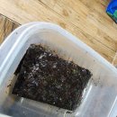 사일회송어농어 | 광명시장 횟집 <옛날마차 본점> 후기 | 옛날마차스페셜·멸치회무침 광명사거리맛집 + 예약·영업정보