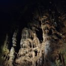 양어장상회 이미지