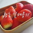과일 신선함이 유지되는 쿠플라트 황동 밀폐용기 실사용 후기 입니다