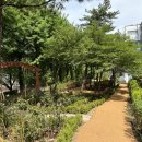 명신여자고등학교 이미지