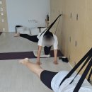 (주)인지메디칼 | 몸의 균형을 찾는 이완 · 인지 중심 요가 수업 후기 - 비라바드라아사나 3를 위한 준비