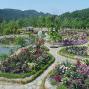 장미정원 이미지