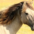 권세목장 이미지