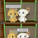 👻더 이상 빠꾸는 없다 (건강한 다이어트달글맞음 암튼 맞음)👻 이미지