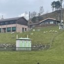 동태목장 이미지