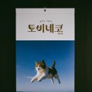 롯데영플라자반스