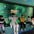 가리점 하우스 이미지