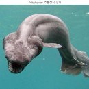 소망 행정사 사무소 이미지