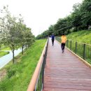 도림천 산책로3 이미지