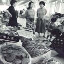 강화인삼협동조합 이미지