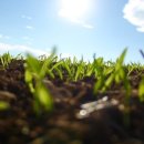 햇살정신과의원 이미지