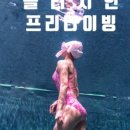 (주)플러시안 이미지