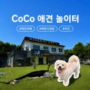 자담시흥 | [경기 시흥/애견카페]시흥 실내외 애견카페&놀이터 ‘코코애견카페’ | 카페, 수영장, 자담치킨