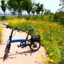 평화누리자전거길 이미지