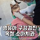 옥정든든치과의원 | 옥정 아이보듬 소아치과 재방문기! 3차 영유아 구강검진 시기 맞은 막둥이, 생에 첫 구강 엑스레이까지