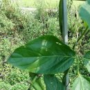 태안농장 이미지