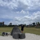 우진택시노동조합 | 🏖️ 여름방학 제주도 함덕편 | 더위야 가라..가라고🌊